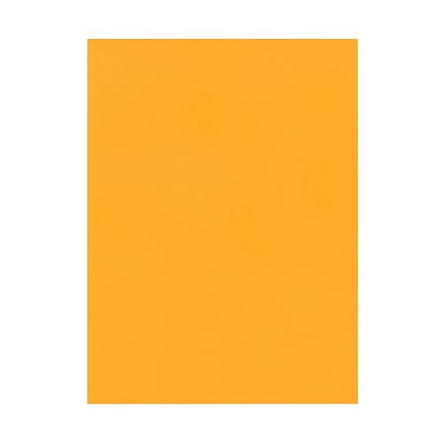 Quality Park 9 x 12 Catalog Mailing Envelopes, Redi-Seal Self Seal Envelope Closure, 28 lb Kraft Paper, 250 per Box (QUA43562)
