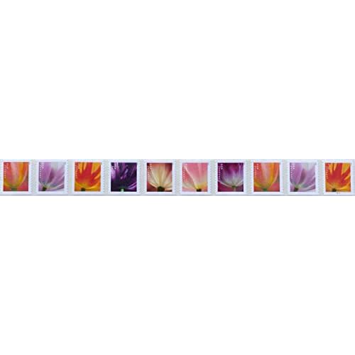 2023 Tulip Blossom Forever First Class Postage Stamp (10 Count Strip) Y