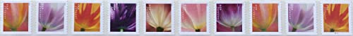 2023 Tulip Blossom First Day Cover Postage Stamp Set - USPS