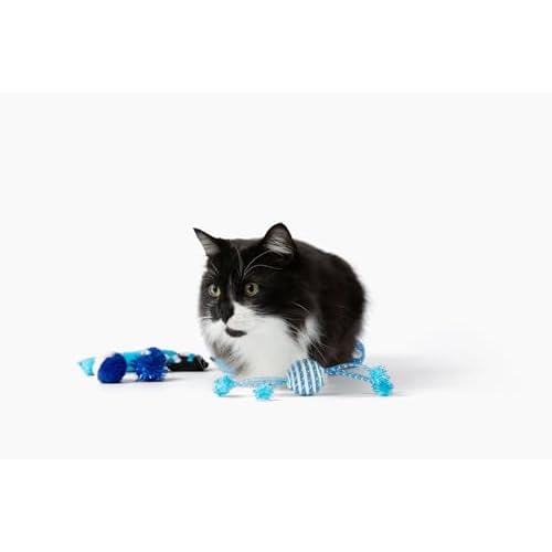 Midlee Channukkah Countdown Cat Calendar