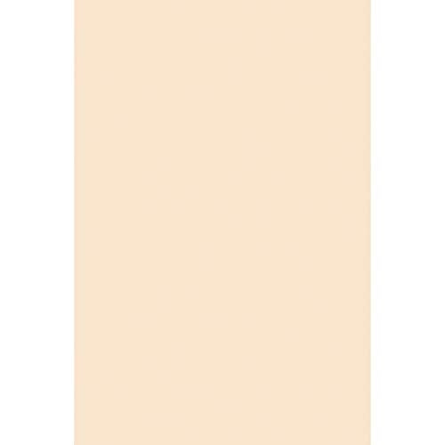 Pacon 5184 Medium Weight Tagboard 12 x 18 Inches Manila 100 Sheets