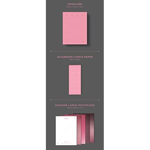 BLACK PINK : BORNPINK - BOX SET (PINK Version) 2nd Album CD+Postcard+Photobook+Envelope+Accordian Lyrics Paper+Large Photocard+Selfie Photocard+Instant Films