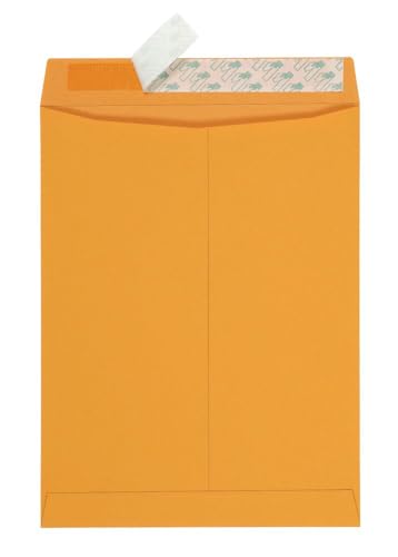 10 x 13 Self Seal Catalog Envelopes - Heavyweight Brown Kraft Mailing & Storage