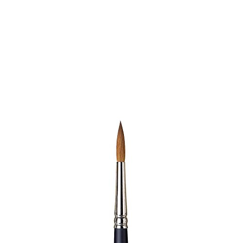 Winsor & Newton Professional Watercolour Sable Brush, Round #7