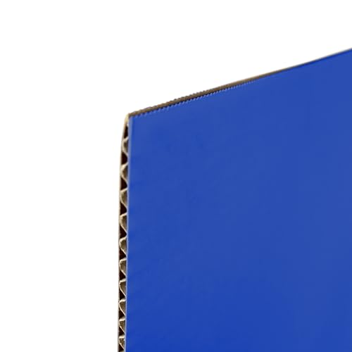 Flipside Products 18¡±x 48¡± Blue Study Carrel, Privacy Boards, Student Privacy and Focus Booth for The Classroom, Desk Divider Cubby for Tests, Made in USA - 12 Pack
