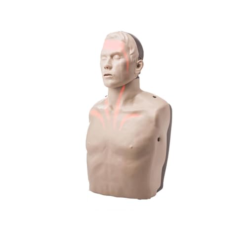 Brayden/BigRed¢â Adult CPR Manikin with LED Red Light CPR Feedback, Tan Skin | American Red Cross Carry Case Sold Separately