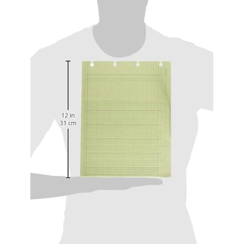 Wilson Jones G1010 Accounting Sheets, 10 Column, 9-1/4 x 11-7/8, Green (Pack of 100 Loose Sheets)