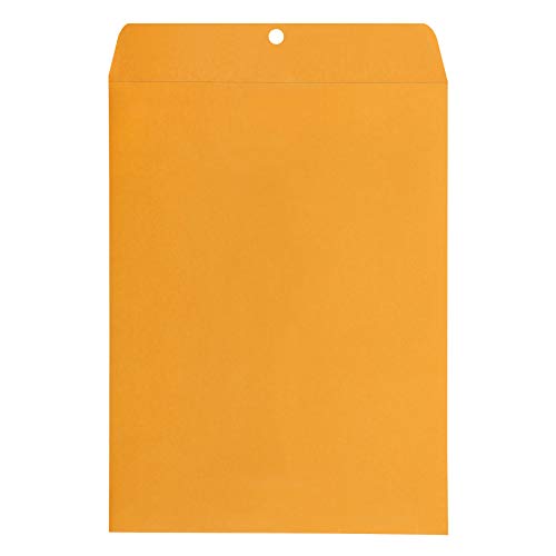 Amazon Basics Kraft Envelopes 9x12 Inches Clasp Mailers 100-Pack