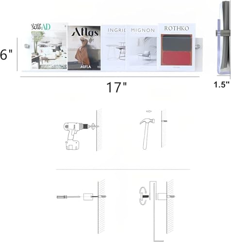 ROYALITA 2-Pack Acrylic Magazine Holders, Clear 17 Inch Wall Mount Brochure Racks
