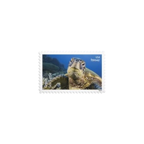 Protect Sea Turtles 2024 (Sheet of 18) First-Class Mail Forever Postage Stamps