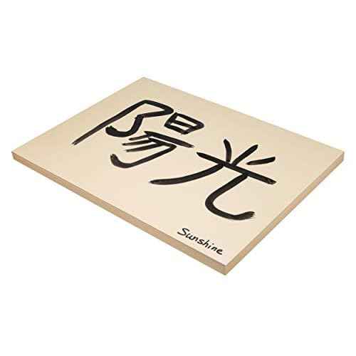 Pacon Tagboard, 18"X24", Manila, Medium Weight, 100 Sheets, 18" x 24"