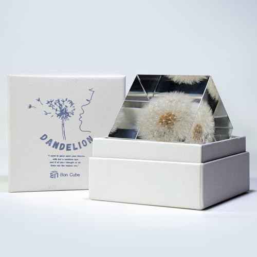 Acrylic Cube with Real Dandelion Inside 6cm Cube White Aesthetic Plant Shelf Decor Desk Decor Paperweight for Girlfriend