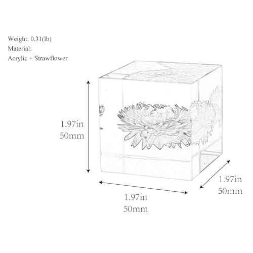 Luxury Natural Real Flowers/Seeds/Plants in Acrylic (not Epoxy Resin), 5CM / 2" Transparent Block Cubes, Anti-yellowing, Paperweight, Specimen, Gifts, Home Decor