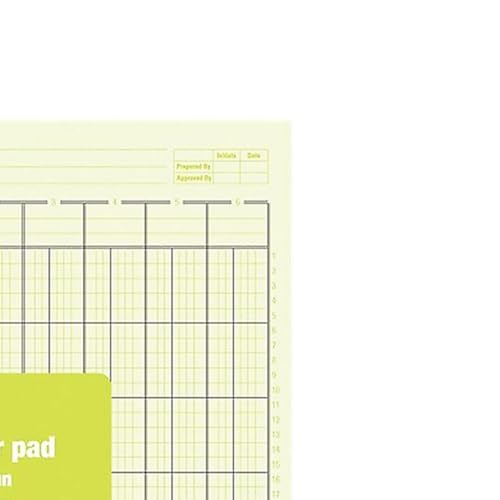 Staples 6-Column Ledger Pad, Green Paper, 50 Sheets, 2-Pack