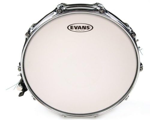 Evans Drumheads 14-Inch Pwr Ctr Rev Dot Ctd (B14G1RD)
