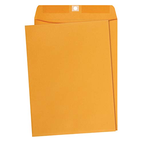 Amazon Basics Kraft Envelopes 9x12 Inches Clasp Mailers 100-Pack
