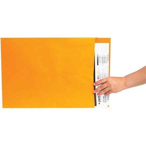 Aviditi Jumbo Envelopes, 16" x 20", Kraft, Large Envelopes For Protecting, Mailing and Shipping Oversized Printed Items, Case of 100