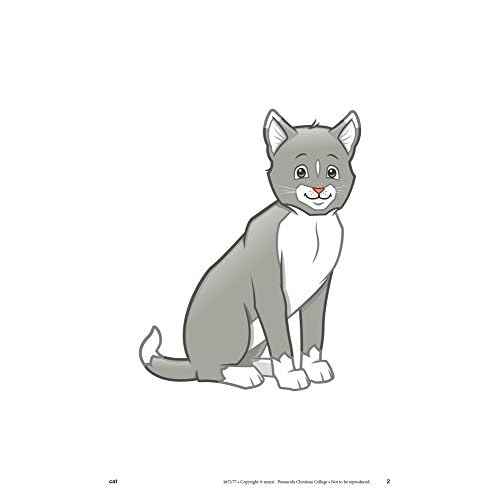 Letter Picture Flashcards - Abeka 4 to 5 Year Old Kindergarten Letter Recognition Reading Program Letter Cards