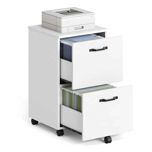 VASAGLE 2-Drawer File Cabinet, Small Rolling Filing Cabinet for Home Office, Printer Stand, for A4, Letter-Size Documents, 15.7 x 16.5 x 27.6 Inches, Snow White UOFC040W46