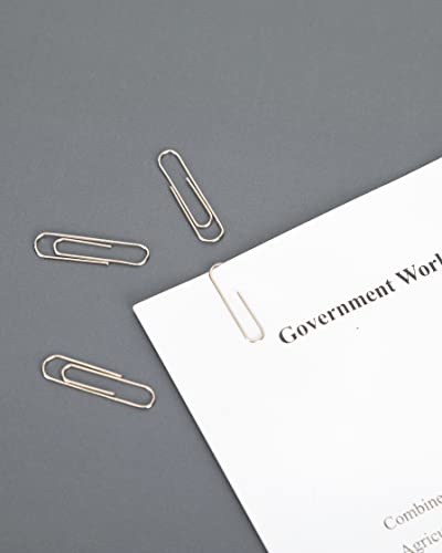 PAPERPAL No. 1 Non-Skid Paper Clips 6 Pack - 600 Silver Office & School Use