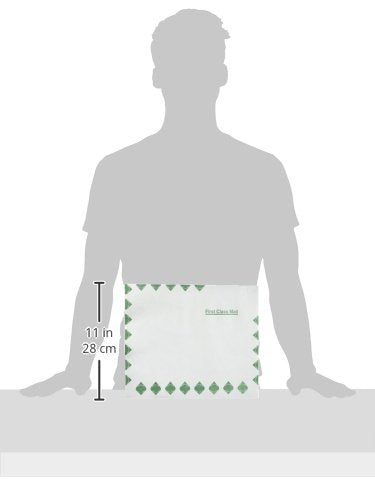 Tyvek Booklet Expansion Mailer 10x13x2 White 1st Class, 100 Pack