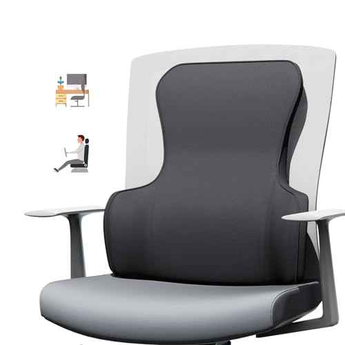 Lumbar Support Pillow for Office Chair ? Back Support for Office Chair with All-Season Memory Foam & Anti-Slip Silicone Base, Lower Back Relief
