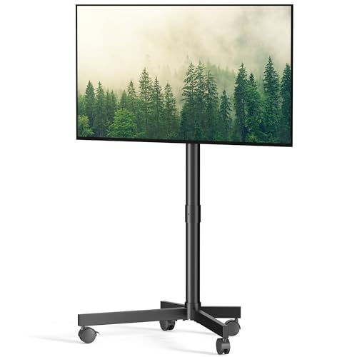Rolling TV Stand 21-60 Inch with Locking Wheels, Black – Xyndyx