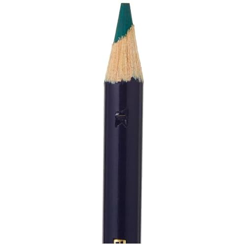 Derwent Inktense Wash Set, Set includes 8 Inktense Pencils, 1 Spritzer, 1 Waterbrush, 1 Paint Brush, Premium 4mm Round Core, Watersoluble, Use on Paper or Fabric, Professional Quality (2302584)
