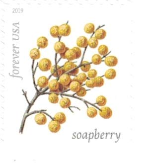 Winter Berries 20 Forever First Class US Postage Stamps - Botanical Design