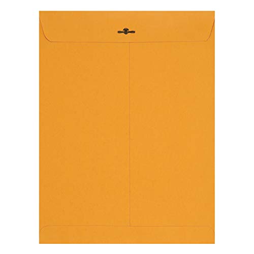 Amazon Basics Kraft Envelopes 9x12 Inches Clasp Mailers 100-Pack