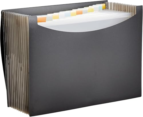 Amazon Basics Letter Size Expanding Accordion File Organizer - 13 Compartments, Waterproof, Black - Variation 1