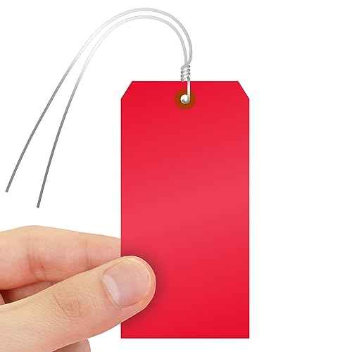 SmartSign (Pack of 100) Red Plastic Tags with Wires, 6.25 x 3.125 inch, Metal Eyelet, 10 mil Tear-Proof Polylith Plastic, Writable