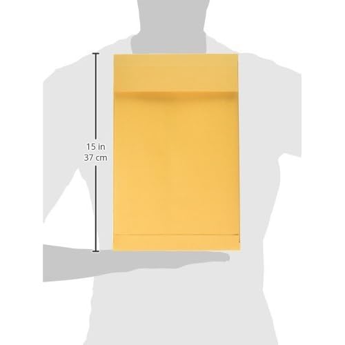 Quality Park Expansion Envelopes, Redi-Strip, Brown Kraft, 9 x 12 x 2, 25 per Pack, (93334)