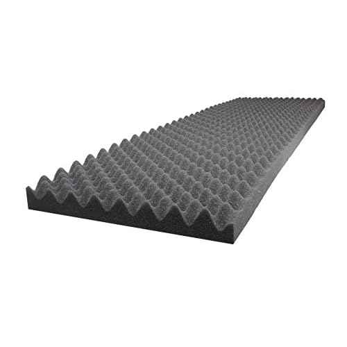 Case Club Customizable Polyethylene/Polyurethane/Convoluted Foam 54 x 16 Inches