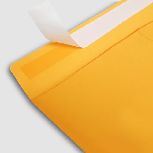 ESSENTIAL 120 Pack 6x9 Inches Manilla Envelopes Self Seal Closure Office Mailing