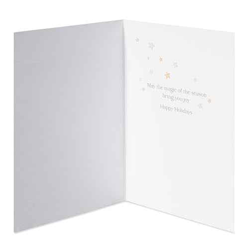 Papyrus Christmas Cards Boxed with Envelopes, Magic Of The Season (14-Count)
