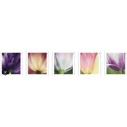 USPS 2023 Tulip Blossom Forever First Class Postage Stamps (20 Count)