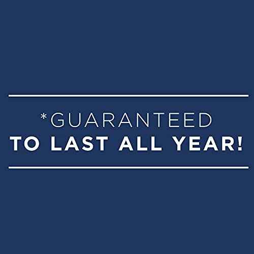 AT-A-GLANCE 2024 Weekly & Monthly Planner, QuickNotes, Quarter-Hourly Appointment Book, Monthly Tabs, 8-1/4" x 11", Large, Pockets, Black (769500524)