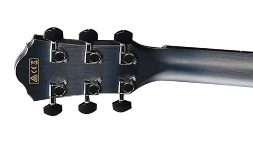 Ibanez AEWC400 AEW Acoustic-Electric Guitar - Indigo Blue Burst High Gloss Bundle with Gig Bag, Strap, D'Addario Strings, Picks, Austin Bazaar Instructional DVD, and Polishing Cloth