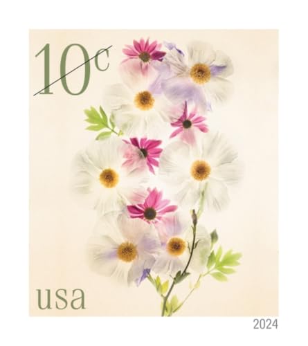 US Postal Service Poppies and Coneflowers 2024 10-Cent Definitive Postage Stamps - 20 Sheets