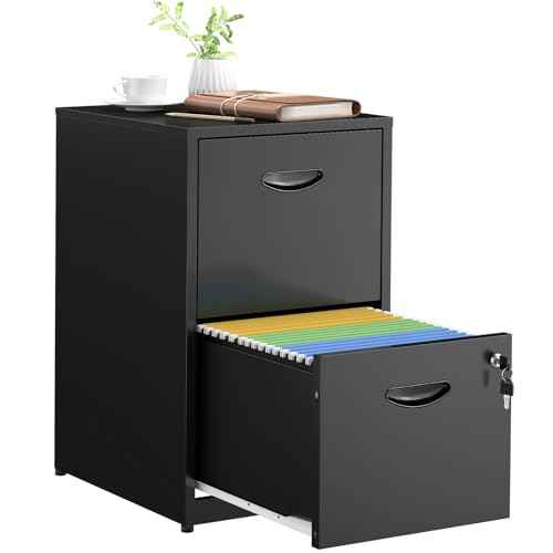 2 Drawer File Cabinets,Metal Office File Cabinet with Lock,Black Filing Cabinets for Home Office,Vertical Modern File Cabinet Office Two Drawers for Hanging Letter,Assembly Required