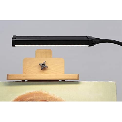 Acurit 54 LED Clip On Light Reading Lamp, 21 Inch Flexible Gooseneck, Adjustable 3 Color Temperature 800 Lumens, 10' Extra Long Power Cable, USB & Adapter - Black Metal
