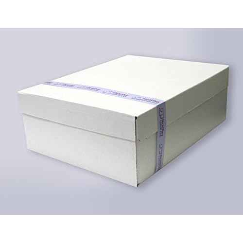 NextDayLabels - #9 Double Window Security Envelope (Regular Gum - 500 Per Pack)