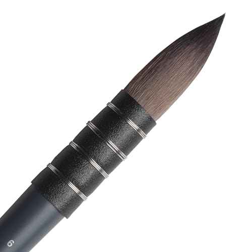 Winsor & Newton Professional Watercolour Synthetic Squirrel Quill Brush, 6, us-0 / asia size s