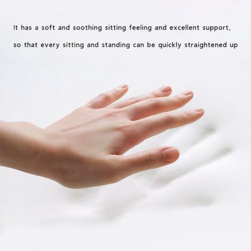 CHANGFENG Lumbar Ergonomic Support for Office Chair Back Lumbar Support for Computer, Gaming Chair Back Cushion for Back Pain Relief Improve Posture,and Work from Home, Patented (Gray)