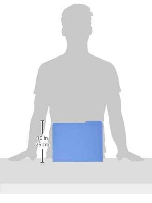 Business Source 1/3-cut Tab Coloured File Folders