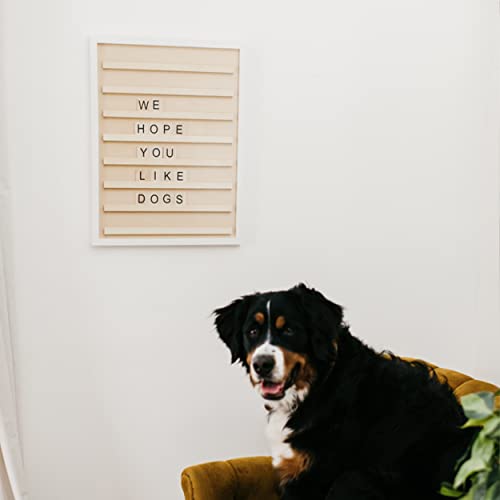Stiles 23"x17" Tile Letter Board Sign Set, Wooden Message Board with 122 Letter Tiles and Numbers, Changeable Letterboard, Great Holiday & Christmas Gift for Friends and Family, Natural