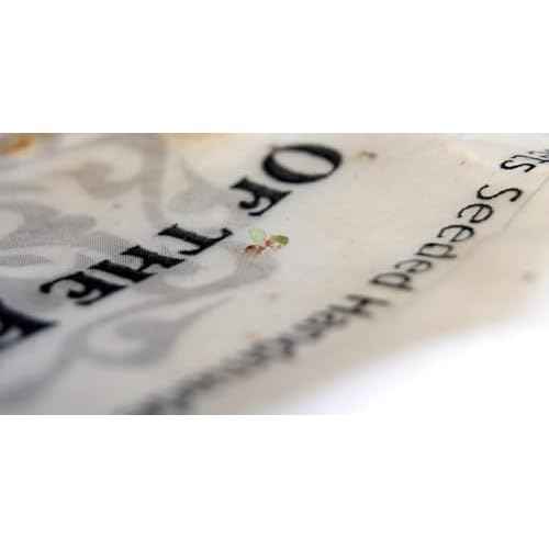 Of The Earth Recycled Lotka Printer Paper Embedded with Wildflower Seed - 8.5" x 11" (2 Pack- 50 Sheets of Paper Total)