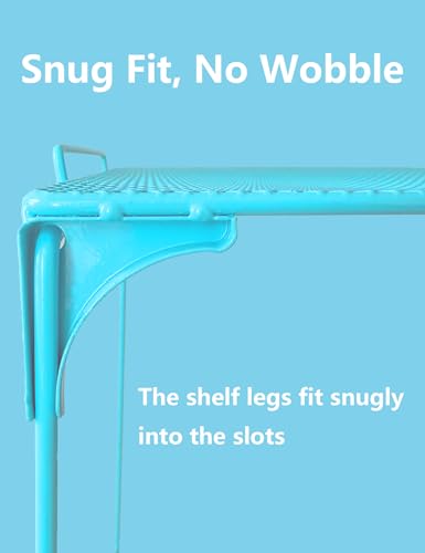 Blue Locker Organizer Shelf with Carpet Set - School, Gym, Home Storage