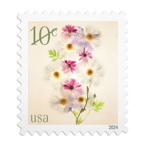 US Postal Service Poppies and Coneflowers 2024 10-Cent Definitive Postage Stamps - 20 Sheets